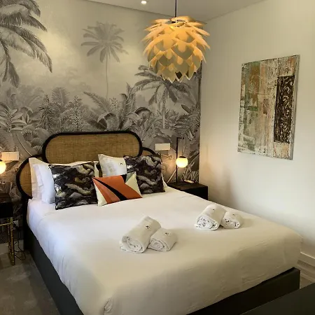 Apartment Downtown Premium 1